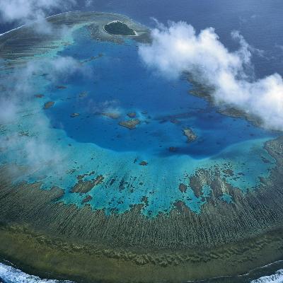 کامنت های تانا استایل